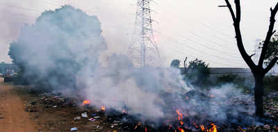 NGT forms panel to probe mess in wholesale market