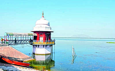 MSU to help VMC get rid of aquatic weeds from Ajwa lake