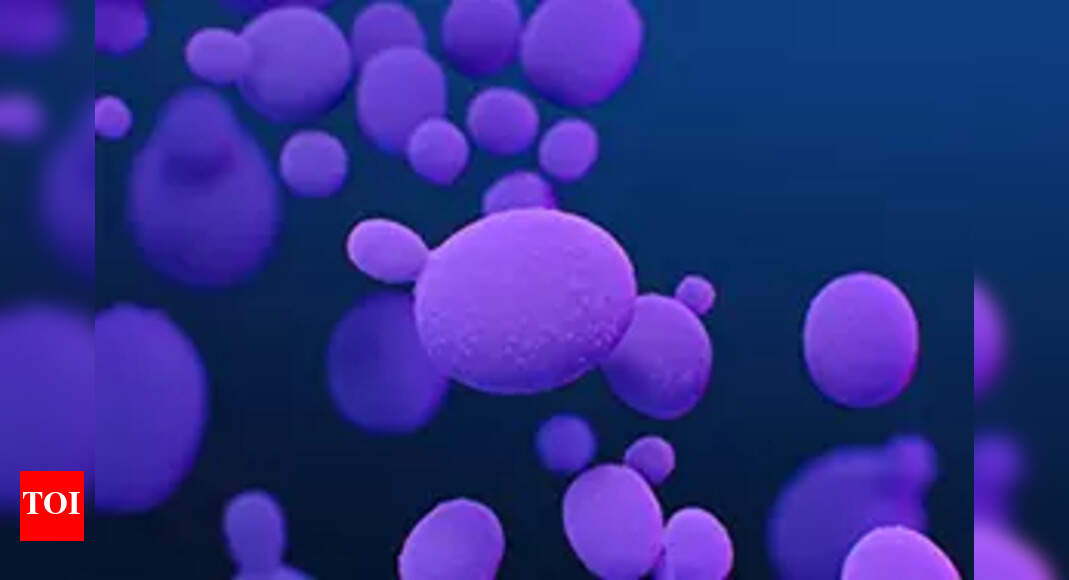 What is deadly Candida auris and what are the symptoms? All you need to