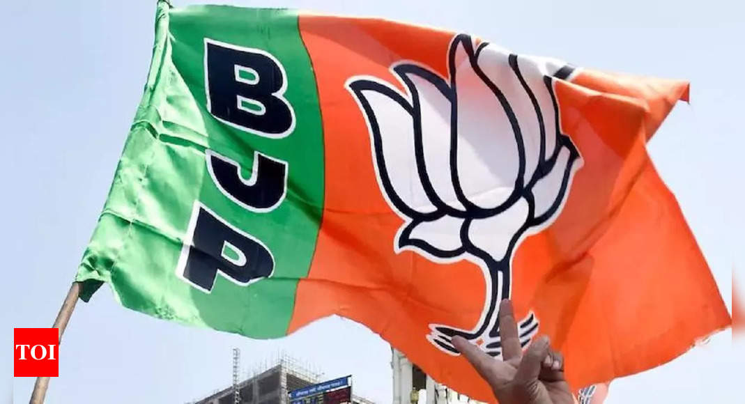 Bjp:  BJP is world’s most important party: Wall Street Journal | India News – Times of India