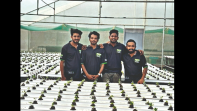 Kerala’s biggest hydroponic farm to come up in Thiruvananthapuram