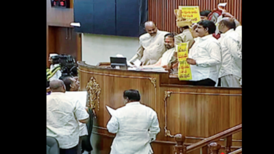 Scuffle Between YSRCP, TDP MLAs In AP House | Vijayawada News - Times ...