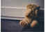 How to spot signs of trauma in your child