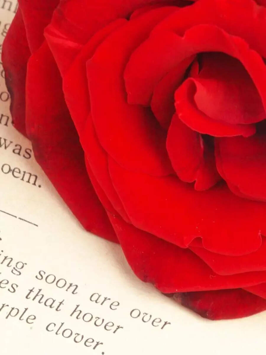 8 Great Hindi Poets Everyone Should Know About Times Of India
