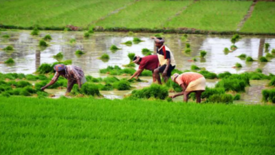 Soon, TN farmers can avail benefits of all schemes without visiting officials