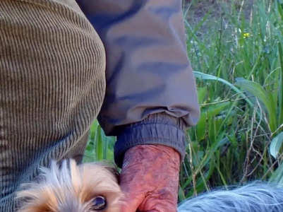 15 worst dog breeds for senior citizens