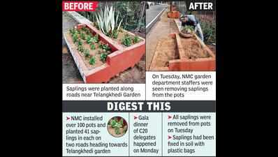 NMC planted saplings with plastic bags along roads, removes all after gala dinner