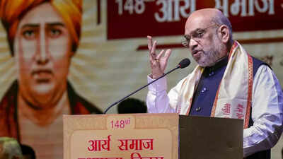 Dayanand Saraswati inspiration for PM vision, says Amit Shah