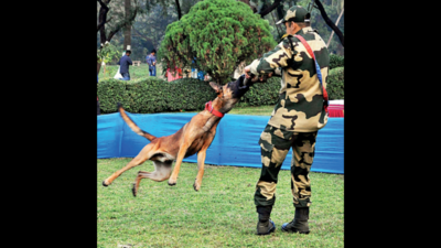 Drill over, Dreamy, Jewel on KP dog squad to join VIP duty in Kolkata