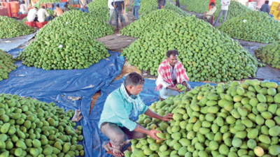 Fixers squeeze mango ryots, bag kickbacks in Hyderabad