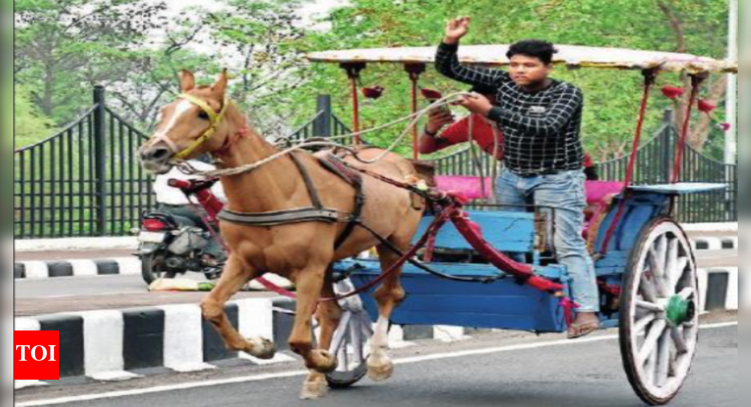 Back after a decade, iconic IkkaTonga race steals show in Lucknow