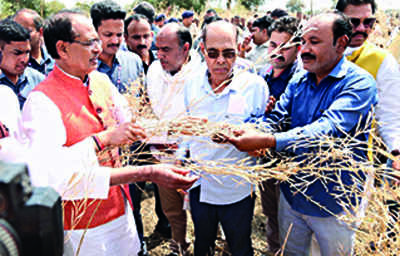 State gives maximum relief for crop loss to farmers, says CM