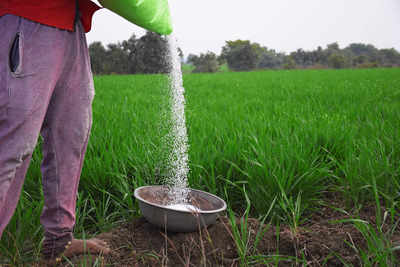 India has adequate fertiliser stocks for summer-sown crops: Govt