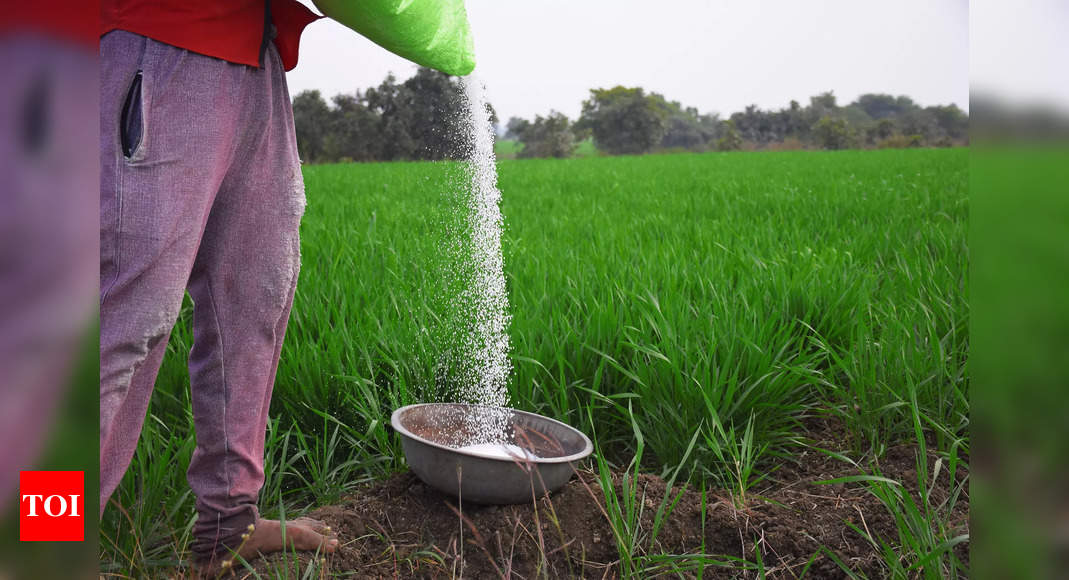 India has adequate fertiliser stocks for summer-sown crops: Govt – Times of India
