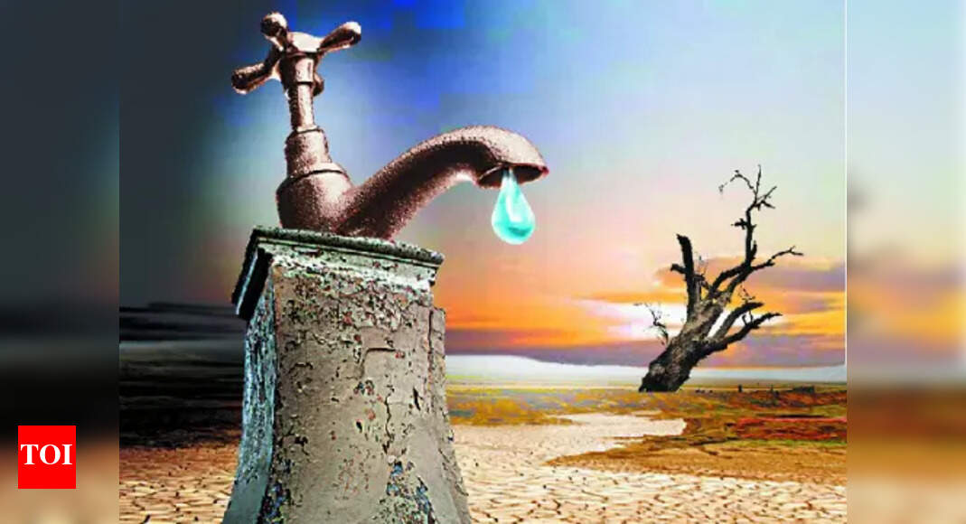 4. Why water woes could leave India high and dry - Times of India