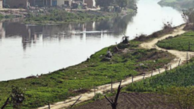 Come up with action plan to clear Yamuna and Hindon floodplains, Noida told