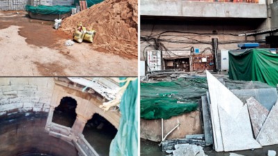 Heritage panel mum as builder uses Buty Baoli, open space for commercial purposes