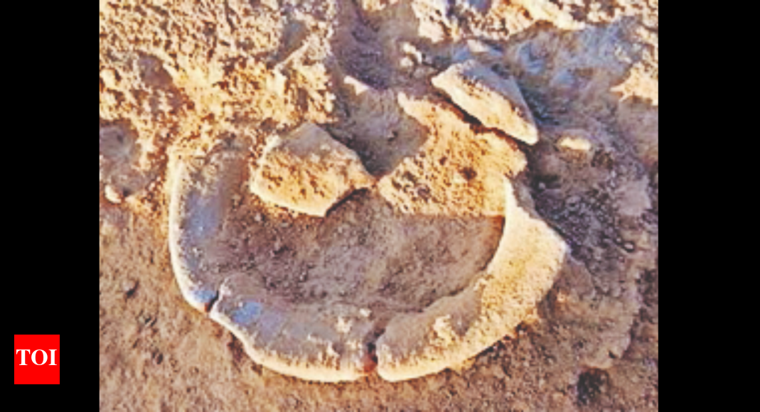 Chatra Pots From Obra Mound Sent To Lab Ranchi News Times of India