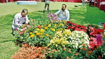 Flower show in Nashik after 2 years