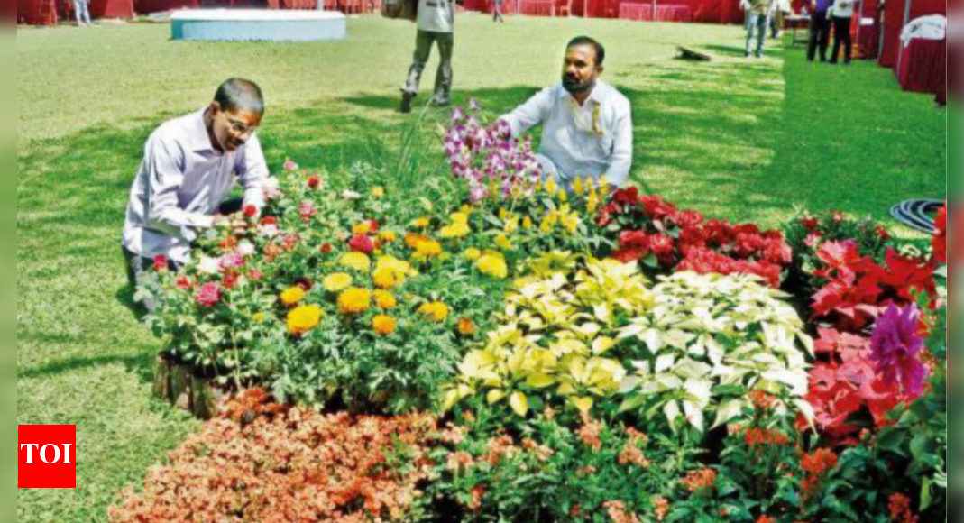 Nashik Flower Show In Nashik After 2 Yrs Nashik News Times of India