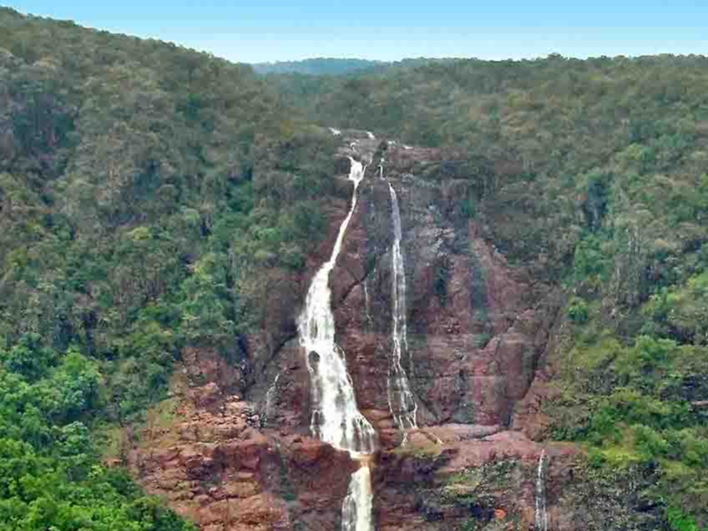 Odisha's historic Gandhamardan Hills declared as biodiversity heritage site