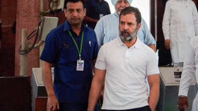I'm fighting for voice of India, ready to pay any price: Rahul Gandhi