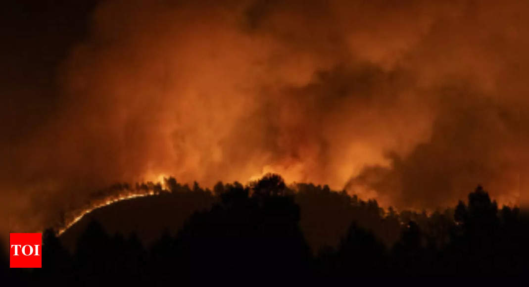 Spain: 1,500 evacuated as Spain’s fire season starts early – Times of India