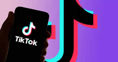 When India's ban on TikTok rang in the US house