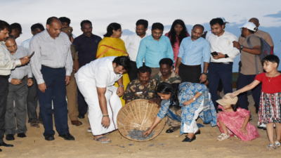International Forest Day: 4,000 baby turtles released into sea off Chennai coast