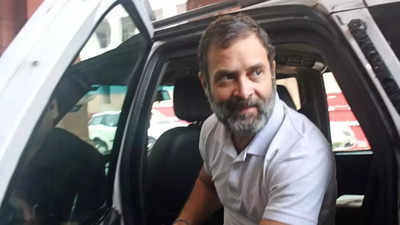 Move to oust Rahul Gandhi a sign of a scared govt, claims AAP