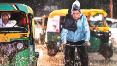 Rain keeps Delhi cool, but the fun ends here