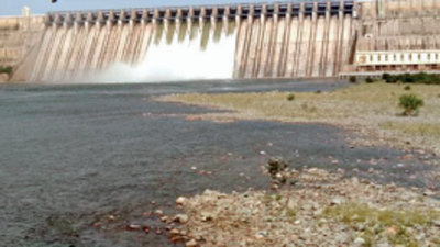 Summer worry: Water dips in Nagarjuna Sagar