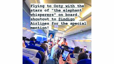 Elephant whisperers Bomman & Bellie on cloud nine