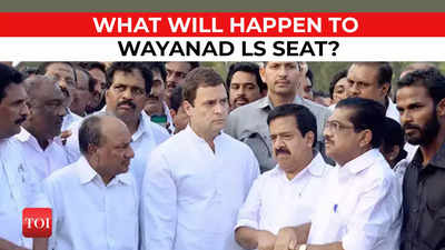 Kerala: Wayanad Lok Sabha seat declared vacant, will there be a by-election soon?