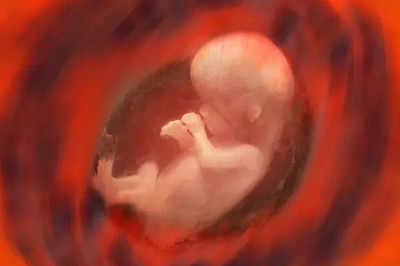 International Day of the Unborn Child 2023: History, Theme, and Significance