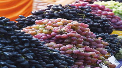 Unseasonal rain: It’s a tale of sour grapes for farmers in Vijayapura