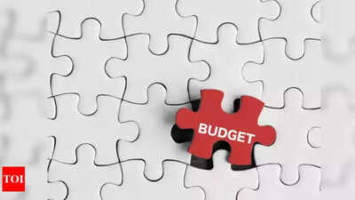 Citizen budget for a greener Nagpur