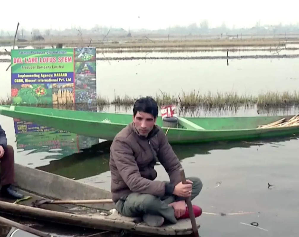 
Srinagar: FPO exporting lotus stems, other vegetables grown at Dal lake to UAE
