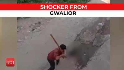 Man beats puppy to death in MP's Gwalior, video goes viral
