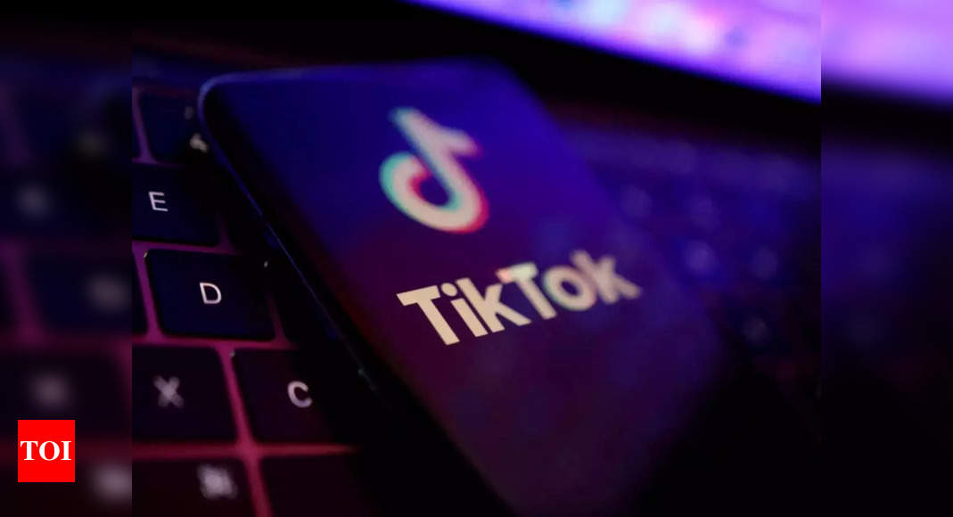 Tiktok: France partially bans use of TikTok, Netflix, Instagram and Twitter on government devices – Times of India