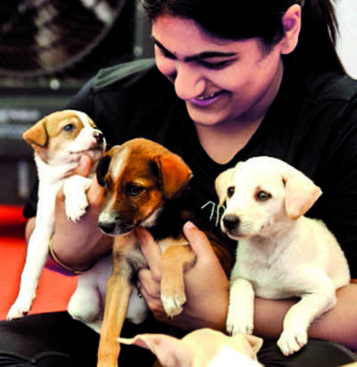 Chennai’s pet parents come under one roof for PetXpo