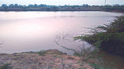 Karnataka: Dried lake rejuvenated with crowdfunded desiltation