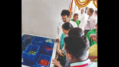 Gajapati admn installs 3 cold chambers for storing veggies