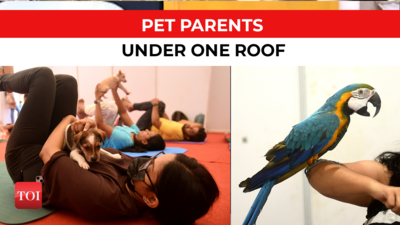 When Chennai’s pet parents unite under one roof