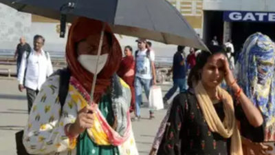 Delhi records maximum temperature of 31°C