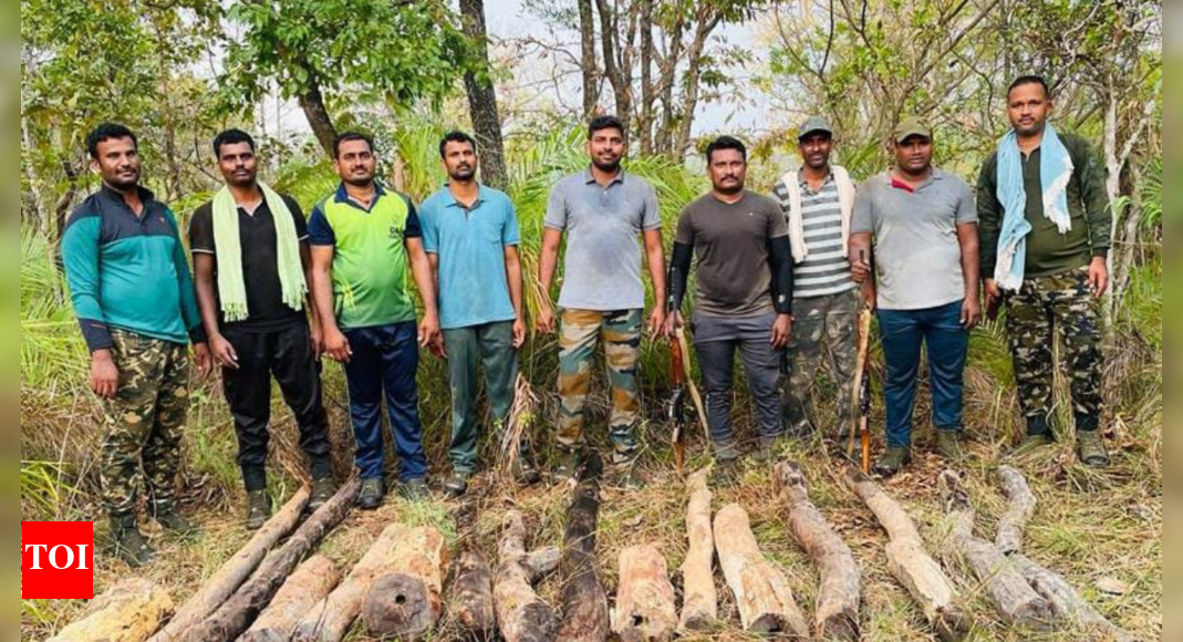 16 red sanders logs seized in Andhra Pradesh’s Seshachalam forests