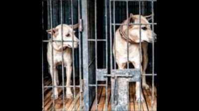 Tamil Nadu appoints senior cop for cruelty against animal cases