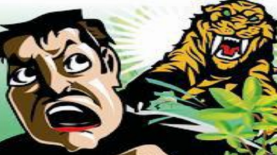 50-year-old man mauled to death by tiger in Chandrapur