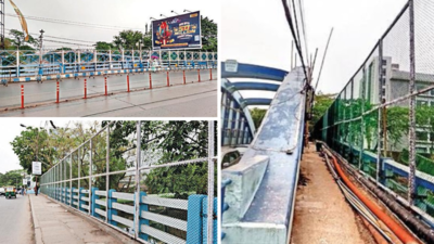 Tolly Nullah bridges fenced to stop garbage-dumping