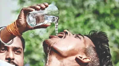 Andhra Pradesh reels under searing heat, predictions say it’s just a start